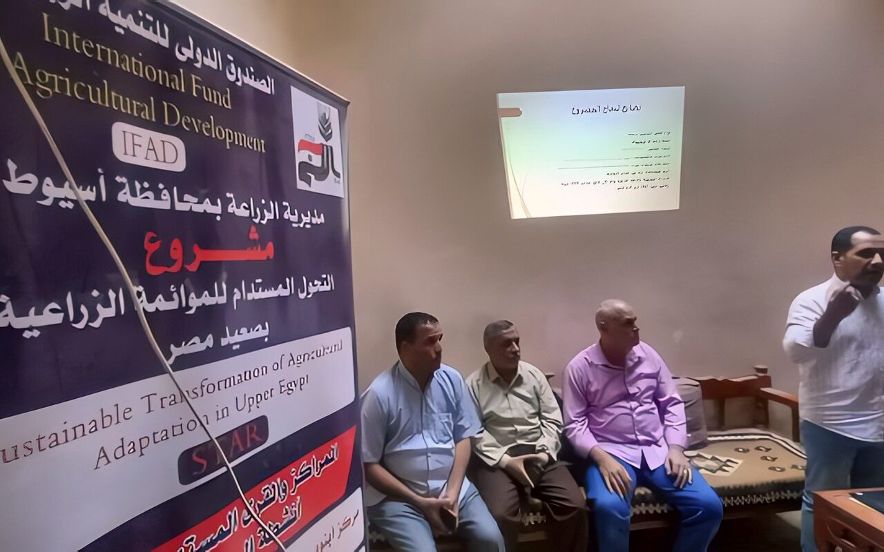 محافظ أسيوط: ندوة إرشادية ببني غالب لتعريف صغار المربين بدراسات الجدوى لمشروعات تسمين العجول متناهية الصغر