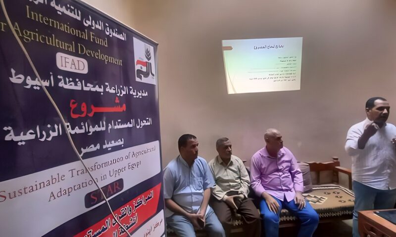 محافظ أسيوط: ندوة إرشادية ببني غالب لتعريف صغار المربين بدراسات الجدوى لمشروعات تسمين العجول متناهية الصغر