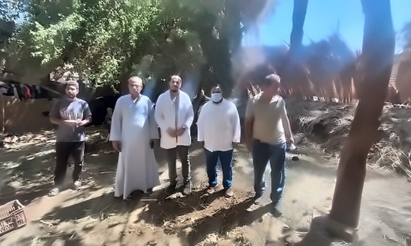 محافظ سوهاج يوجه بالتعامل الفوري مع واقعة عقر 11 شخصاً بساقلته
