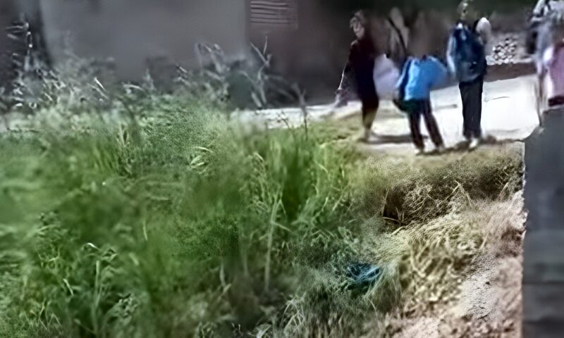 بين الحجارة ومياه الترعة.. أطفال مدارس البياضى بجرجا يخوضون رحلة يومية محفوفة بالخطر