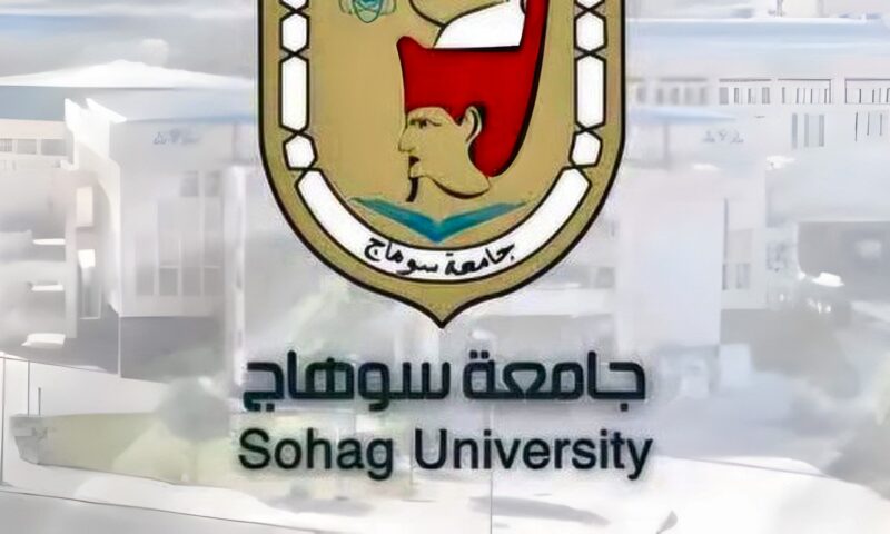 اختيار 8 أعضاء هيئة تدريس من كلية الهندسة بسوهاج ضمن قائمة Top 1000 Scholar لعام 2026