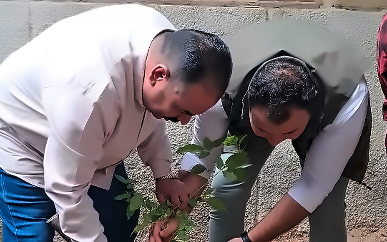 ازرع فكرة ازرع شجرة بمدارس الأقصر.. 200 شجرة في المرحلة الأولى