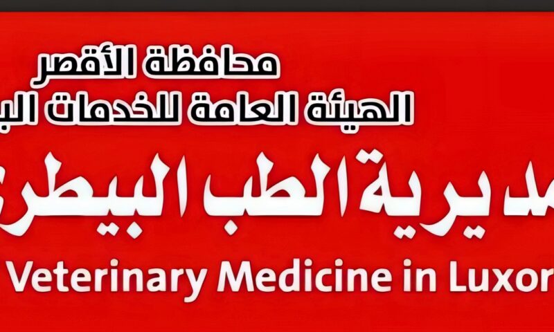 الأحد المقبل.. بدء أعمال الحملة القومية للطب البيطري للتحصين بالأقصر
