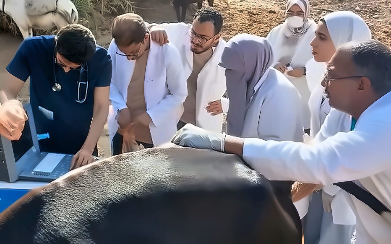 قافلة بيطرية شاملة بمنطقة أبو الريش بحرى للحفاظ على الثروة الحيوانية ودعم المربين