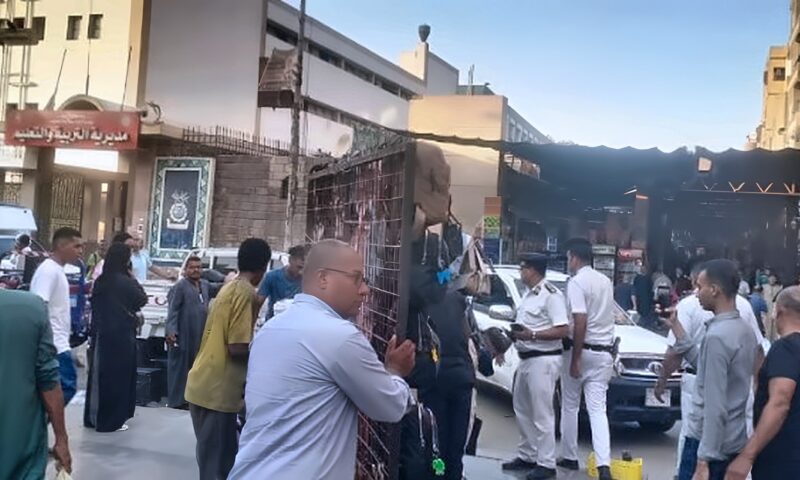 جهود للإرتقاء بمستوى الخدمات بمدينة أسوان ورفع حالات الإشغالات