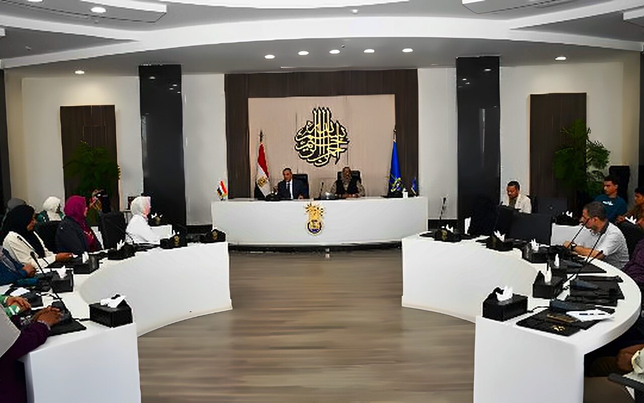 حوكمة إدارة البرنامج السكانى بالمحليات.. ورشة عمل بأسوان
