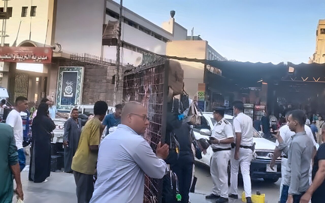 أخبار أسوان| حملات تموينية بالأسواق والمخابز.. وتحسين مستوى الخدمات