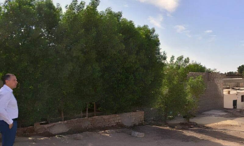 محافظ أسوان يوجه بإزالة التعديات على أراضى أملاك الدولة والاستجابة لمطالب المواطنين
