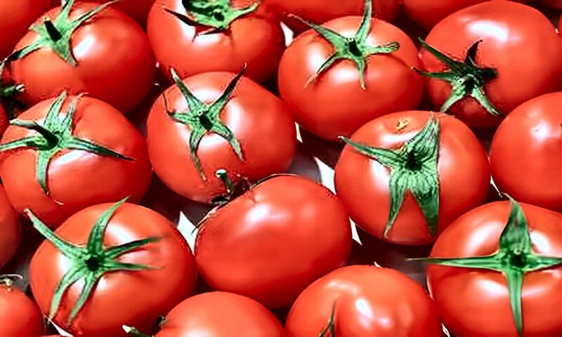سر غذائي في الطماطم المطبوخة