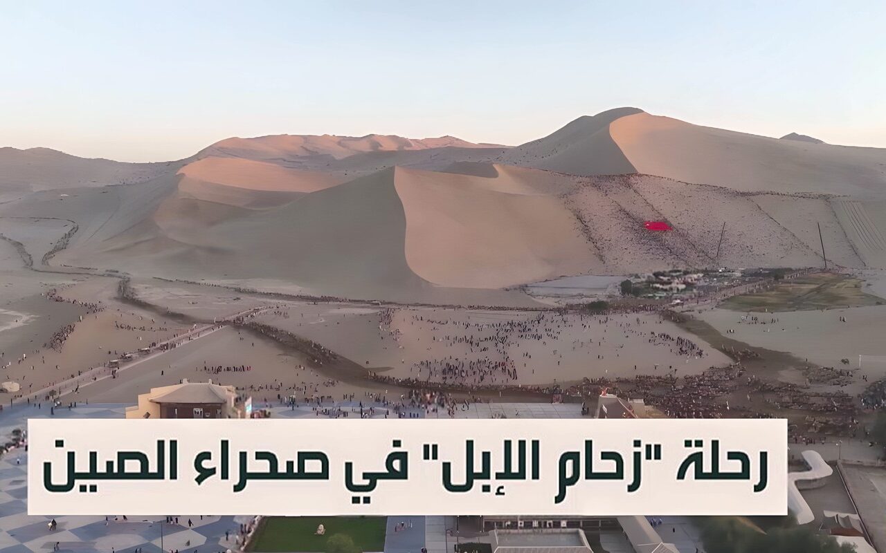رحلة “زحام الإبل” في صحراء الصين