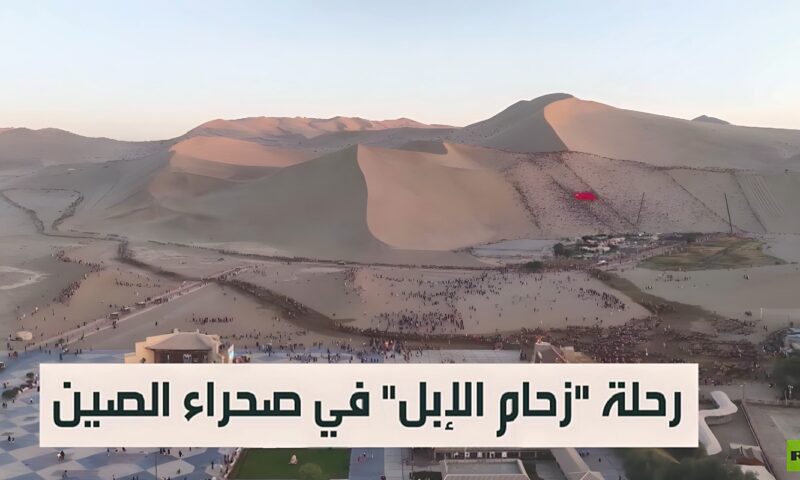 رحلة “زحام الإبل” في صحراء الصين