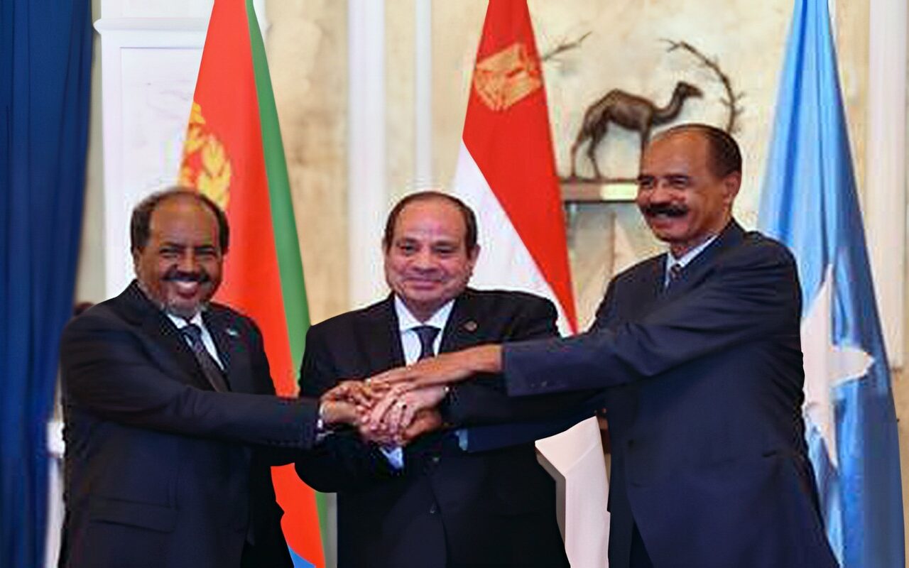 هل “قمة العلمين ” مؤشر تحالف بين مصر وإريتريا والسودان والصومال؟