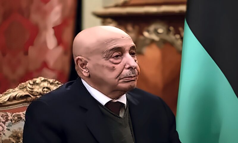 رئاسة عقيلة صالح على المحك.. النواب الليبي يصوت لتغيير اللائحة وانتخاب هيئة جديدة خلال 7 أيام