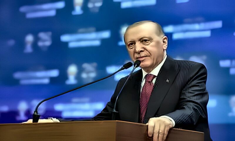 أردوغان: فيتو الخمسة يهدم إرادة 190 دولة.
