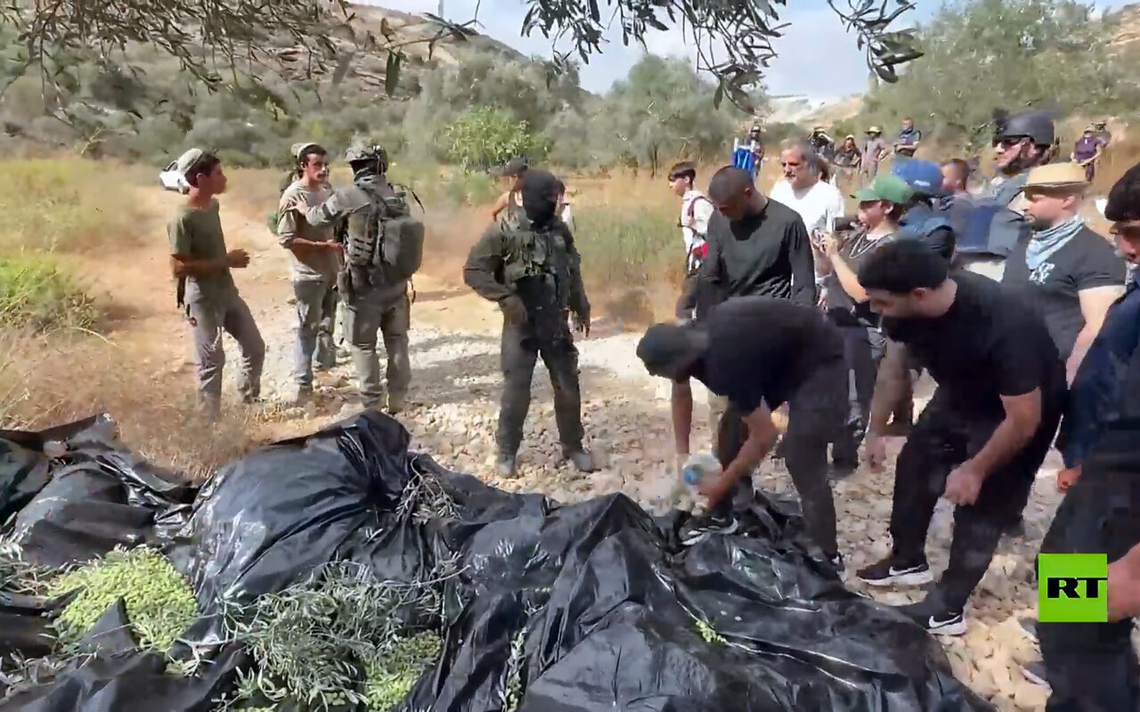 مستوطنون برفقة عناصر من الجيش الإسرائيلي يعتدون على قاطفي الزيتون في الضفة الغربية