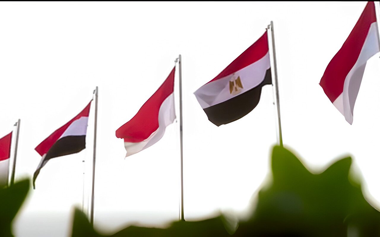 سوخوي تتصدر المشهد.. إندونيسيا تحشد مقاتلاتها لمرافقة طائرة السيسي (فيديو)