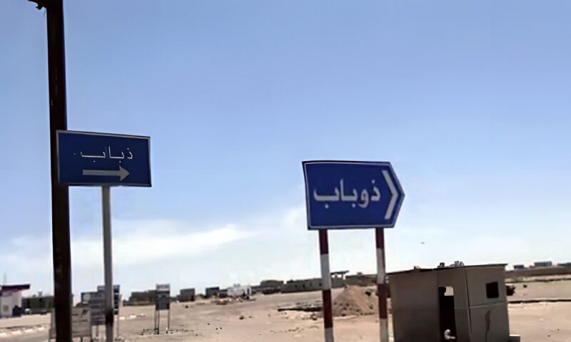 اليمن.. قوات “درع الوطن” تعلن إحباط محاولة تسلل حوثية في محيط مطار ذو باب