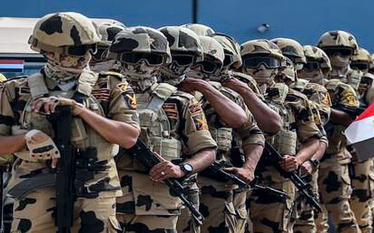 هل تتدخل مصر عسكريا في اليمن؟.. وزير الخارجية المصري يرد