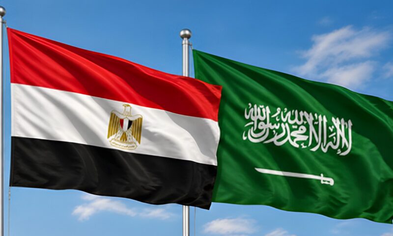 شاعر مصري يثير الجدل برغبته وضع ممتلكاته تحت تصرف السفارة السعودية