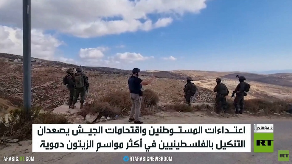 المستوطنون يعتدون على قاطفي الزيتون