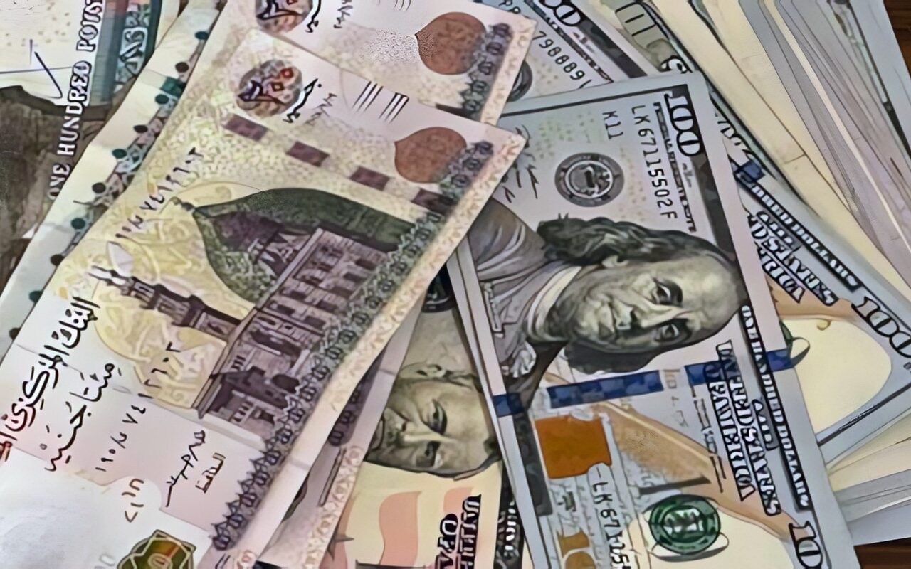 محافظ المركزي المصري يوضح أسباب الهبوط التاريخي للجنيه أمام الدولار