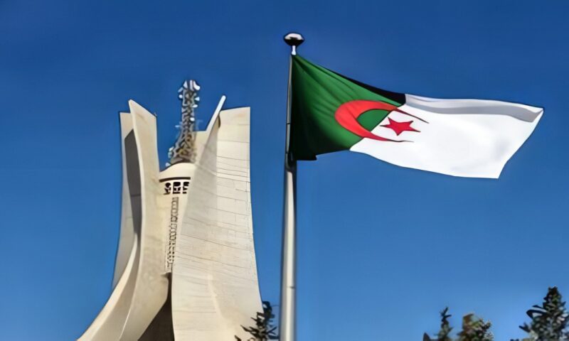 لماذا وافقت الجزائر على إرسال وحدة عسكرية إلى النيجر؟