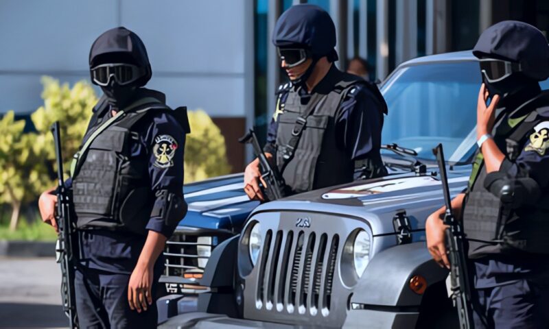 الإنتربول يعيد مسؤولا مصريا هاربا من 234 سنة سجن