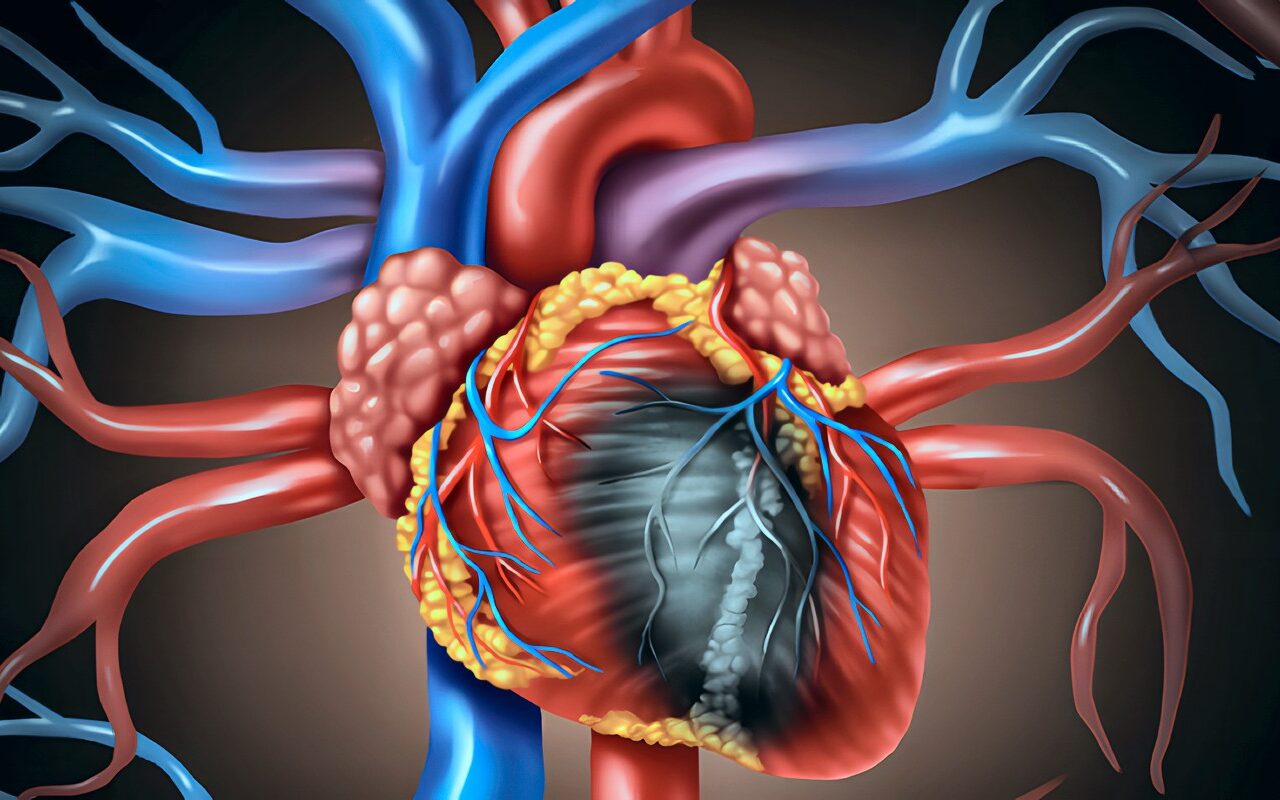 خلايا قلبية “جاهزة”.. إنجاز علمي ياباني يعزز آفاق الطب التجديدي وعلاج قصور القلب