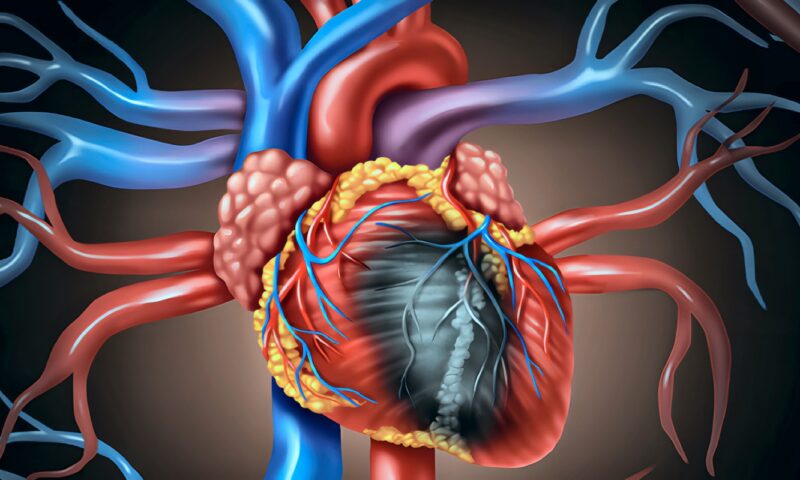 خلايا قلبية “جاهزة”.. إنجاز علمي ياباني يعزز آفاق الطب التجديدي وعلاج قصور القلب