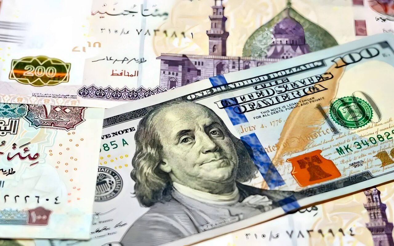 ماذا سيحدث في الدولار في مصر.. خبير اقتصادي يكشف لـRT