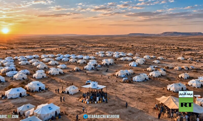 الأمن الغذائي بإفريقيا.. الحلول البديلة