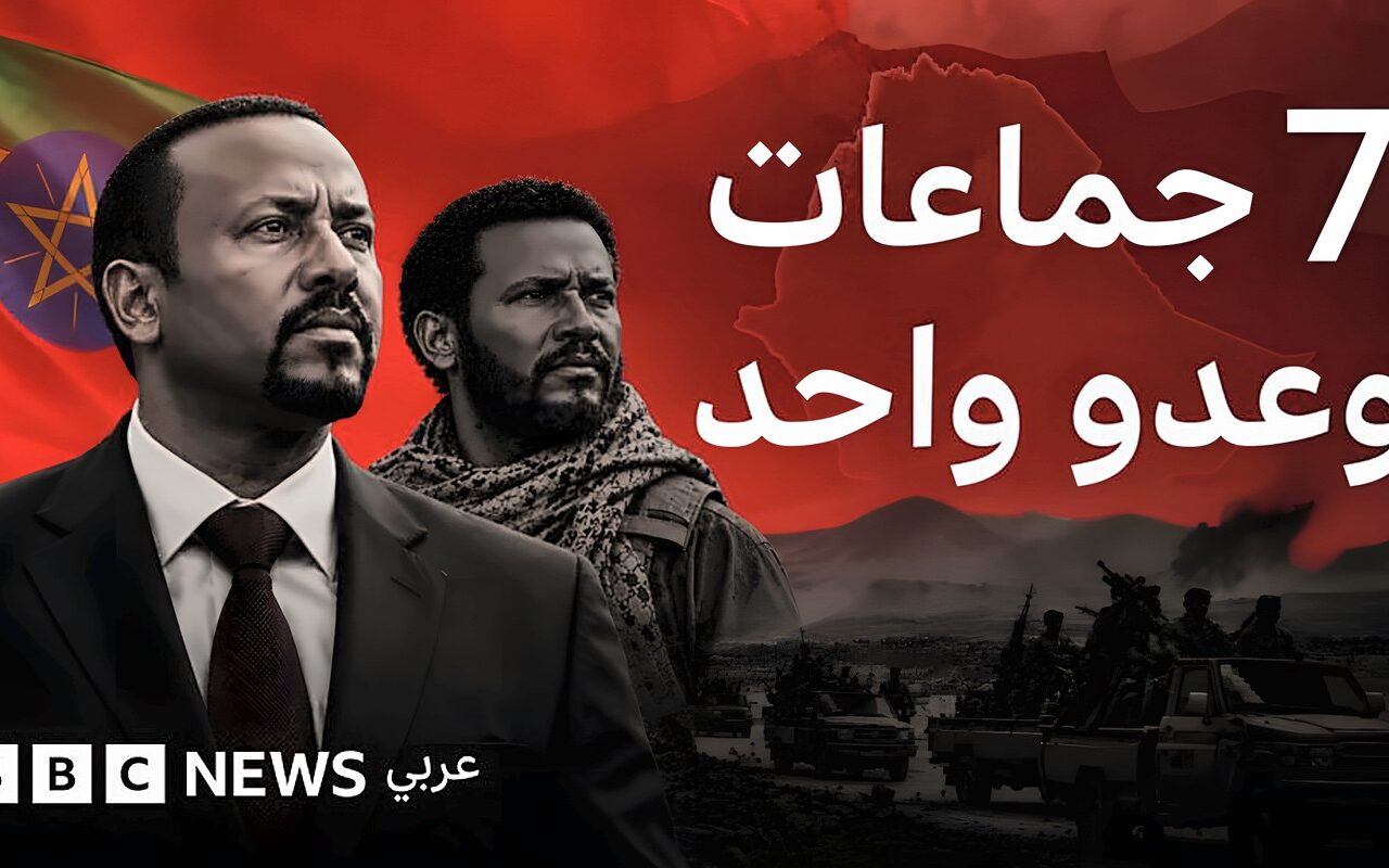 7 جماعات مسلحة ضد آبي أحمد.. ماذا يحدث في إثيوبيا؟