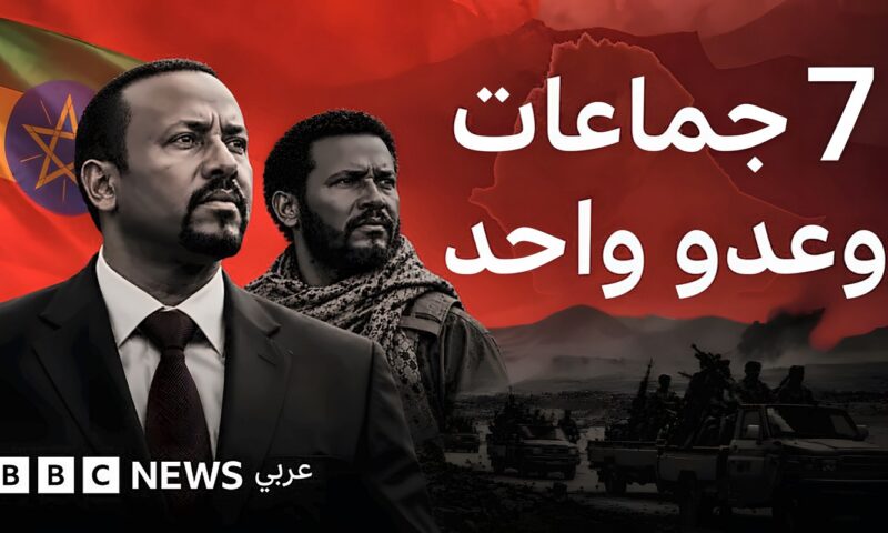 7 جماعات مسلحة ضد آبي أحمد.. ماذا يحدث في إثيوبيا؟
