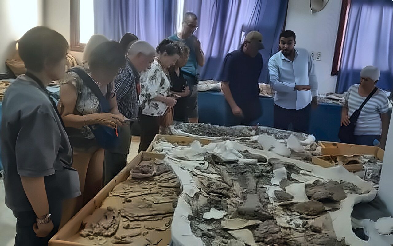 جامعة الوادي الجديد تفتتح متحف الحفريات للسياح الإيطاليين