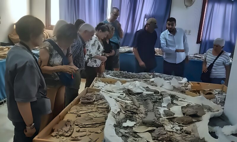 جامعة الوادي الجديد تفتتح متحف الحفريات للسياح الإيطاليين