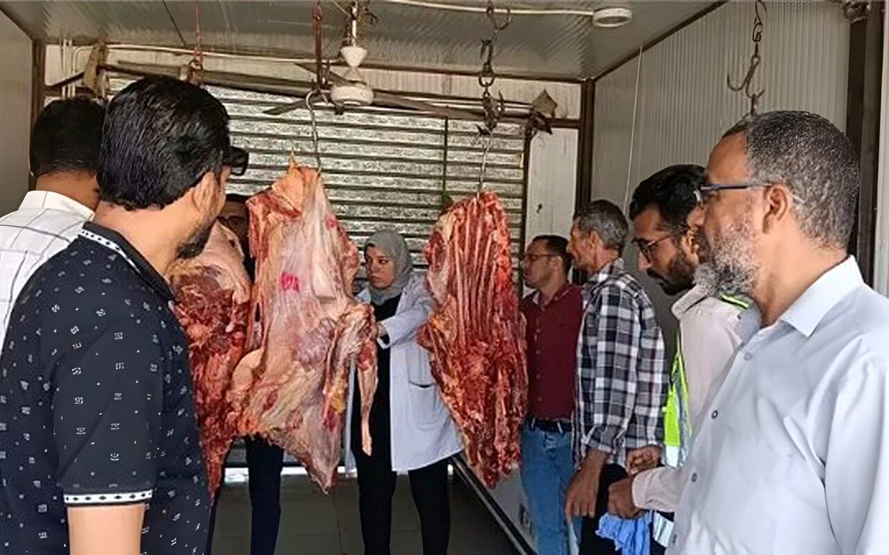 ضبط 154 كيلو لحوم غير صالحة بالوادي الجديد
