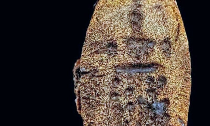 خاتم برونزي غارق يكشف نقشًا نادرًا لفنار الإسكندرية القديم