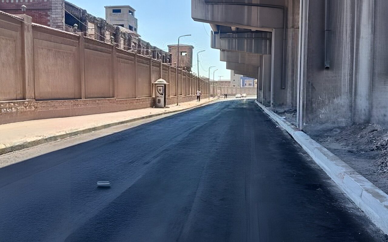 محافظ الإسكندرية: إنهاء معاناة استمرت 12 عامًا بالعجمي