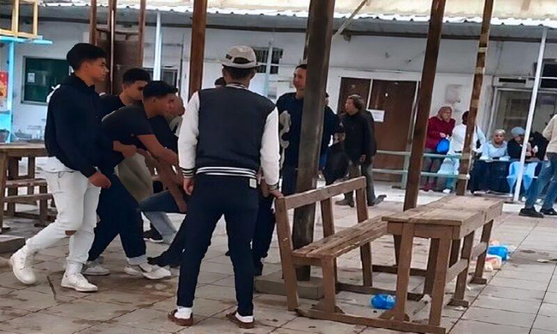 خلاف على مكان الجلوس يشعل مشاجرة بين طلاب تربية نوعية الإسكندرية