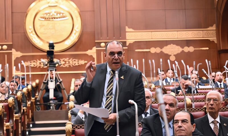 برلماني: منتدى مصر 2026 منصة مهمة لدعم التنمية وتعزيز الحوار