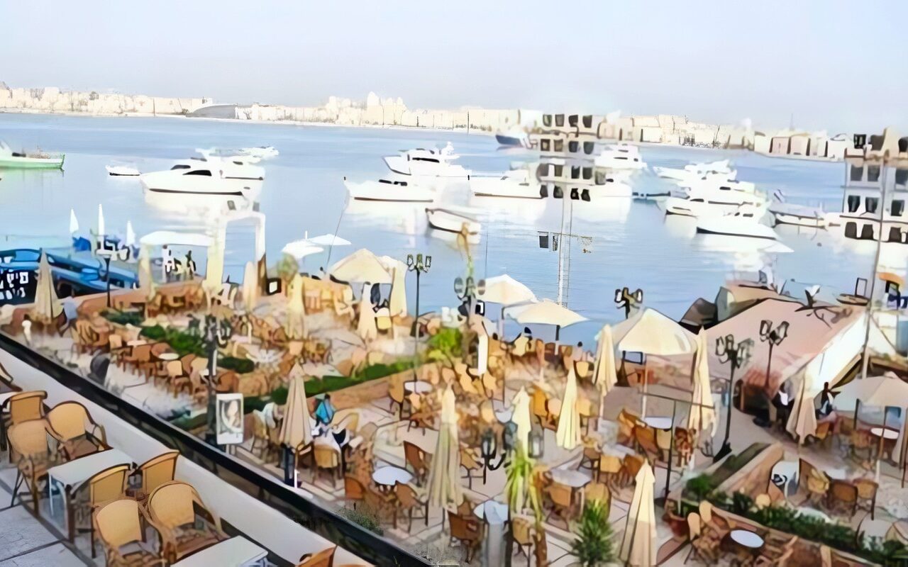 غدًا.. نادي الصيد بالإسكندرية ينظم مهرجان الأسماك وجوائز للفائزين