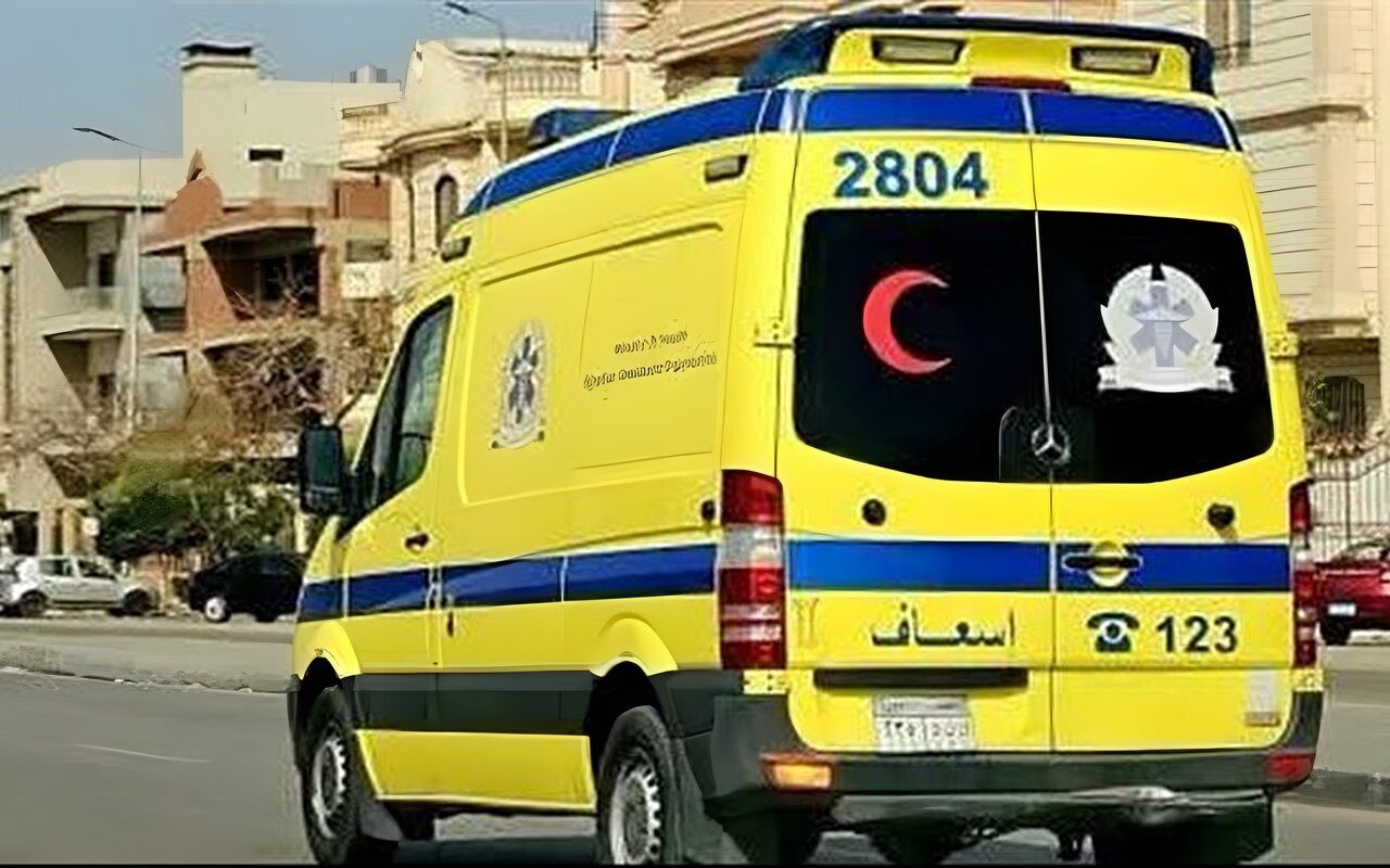 بالأسماء.. إصابة 3 أشخاص من أسرة واحدة بتسمم غذائي بعد تناولهم فسيخ في البحيرة