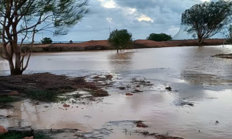 بسبب الأمطار الغزيرة.. السيول تملأ الأودية بالمياه في براني والسلوم والنجيلة والضبعة