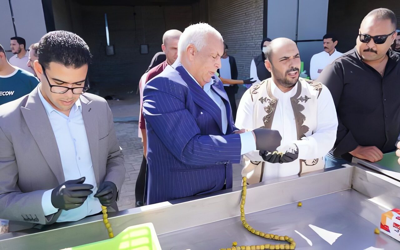 مطروح تدخل موسوعة جينيس بتسجيل سلسلة من 50 ألف حبة زيتون