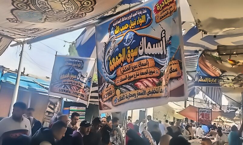 محافظ الإسماعيلية يتابع مبادرة بيع الأسماك بأسعار مخفضة بسوق الجمعة