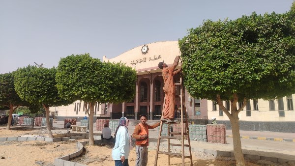 حقيقة ما تم تداوله بشأن قطع الأشجار بمحيط ميدان عرابي في الإسماعيلية