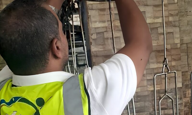 تشميع 3 خطوط إنتاج بمصنع منتجات غذائية وغلق مجزر بالإسماعيلية| تفاصيل