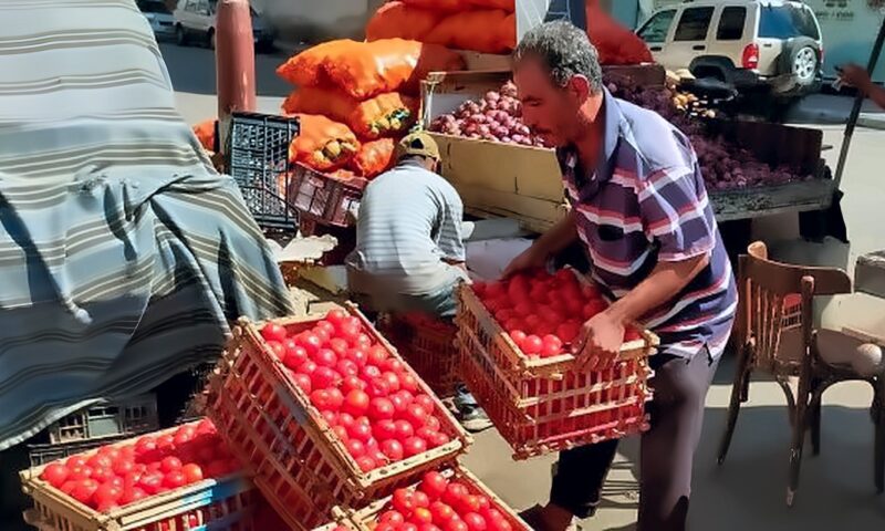 بورسعيد.. تكثيف حملات النظافة ورفع المخلفات وإزالة الإشغالات والتعديات