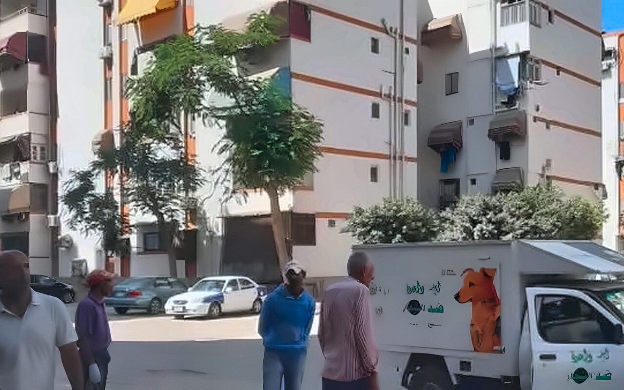 بيطري بورسعيد تحيل طبيبة وفني يعملان بجمع الكلاب الضالة للتحقيق