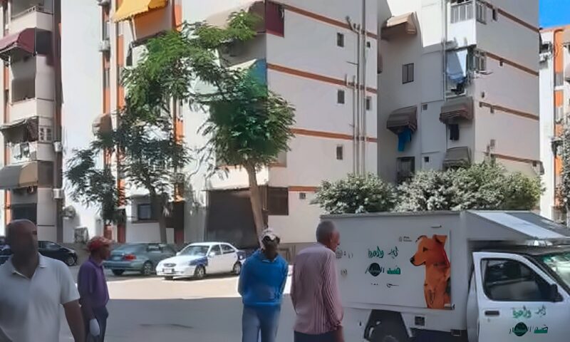 بيطري بورسعيد تحيل طبيبة وفني يعملان بجمع الكلاب الضالة للتحقيق